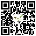 leyu乐鱼体育在线